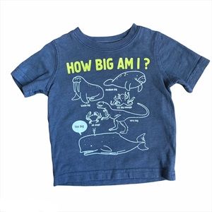 5/$20✨Carter’s Boys Grey Glow-In-The-Dark Graphic Tee